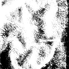 Leather Overlay Texture