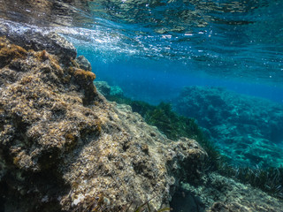 Unterrwasserwelten