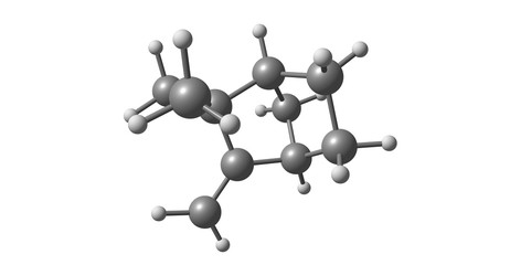 Camphene molecular structure isolated on white
