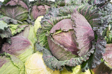 Fototapeta premium Raw cauliflowers at a vegetable market