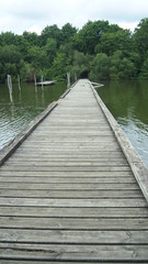 camino sobre el verde agua