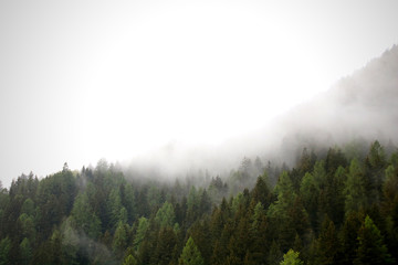 foggy clouds rising from dark alpine mountain forest