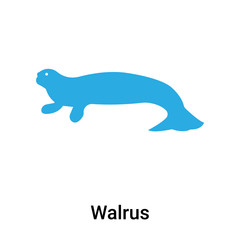 Walrus icon vector sign and symbol isolated on white background