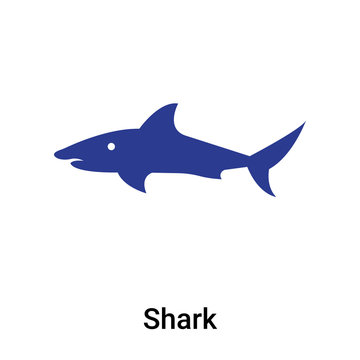 Shark icon vector sign and symbol isolated on white background