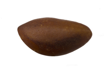 braziil nut isolated on white background