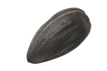 seed of sunflower isolated on white background