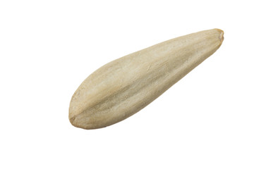 white seed of sunflower isolated on white background