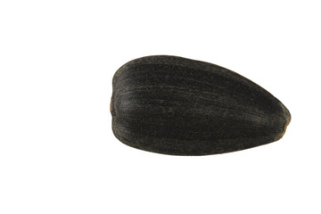 seed of sunflower isolated on white background