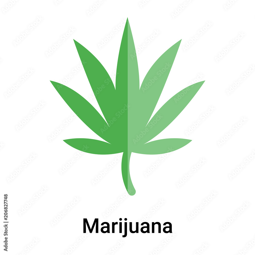 Wall mural Marijuana icon vector sign and symbol isolated on white background