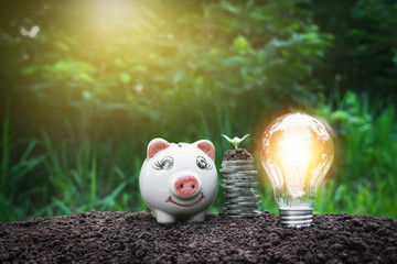 Tree on the coins have a piggy bank and light bulb next to on the ground and complete in nature background.