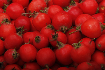 fresh red haw berries background