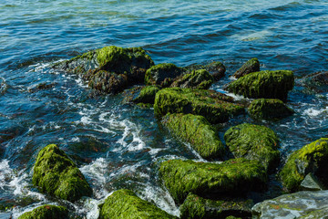 blue water and moss rocks