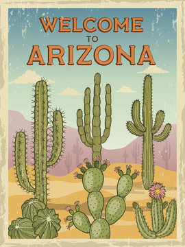 Design template of retro poster welcome to arizona. Illustrations of wild cactuses