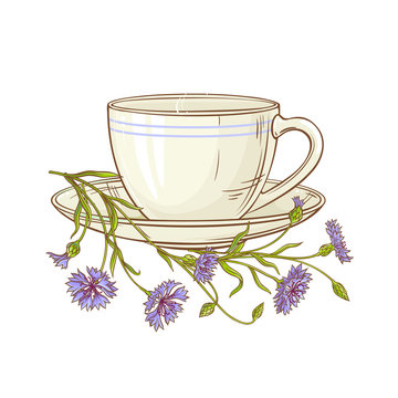 cornflower tea illustration