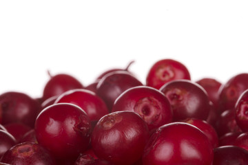 fresh red cowberries background isolated on white