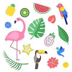Fototapeta premium Flowers and tropical exotic fruits and birds. Vector illustrations isolate