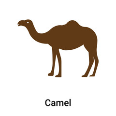Camel icon vector sign and symbol isolated on white background
