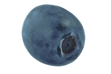 blueberry isolated on white background