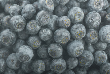fresh blueberries background