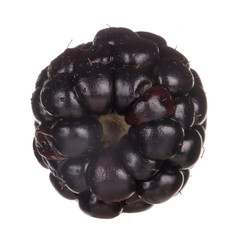 fresh blackberry isolated on white background