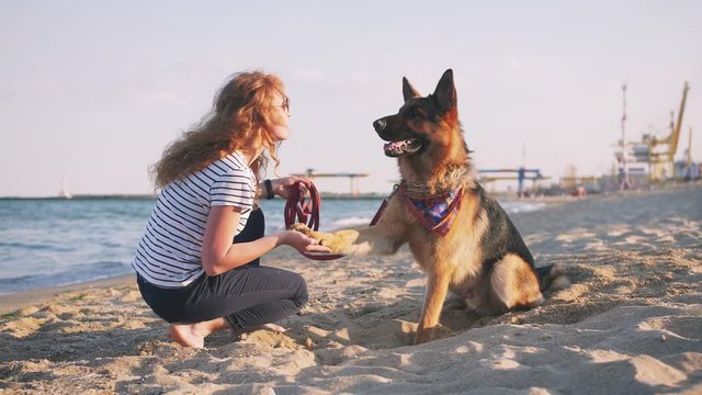 Happy young woman playing with her German shepherd dog outdoor on the beach, slow motion