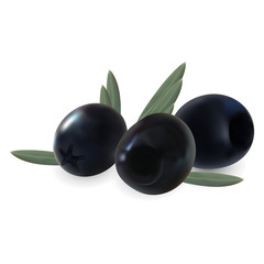 Realistic olive fruits and leaves. Isolated on a white background. 3d illustration