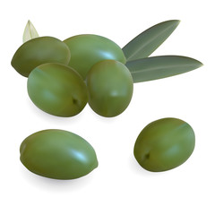 Realistic olive fruits and leaves. Isolated on a white background. 3d illustration