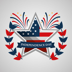 flag in star emblem national american independence day vector illustration