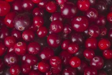 fresh red cranberries background