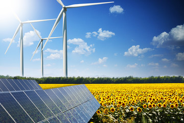 Sunflower field reflected on photovoltaic panels against wind turbines, concept of renewable energy from the nature   © adrian_ilie825