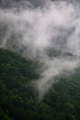 foggy clouds rising from dark alpine mountain forest
