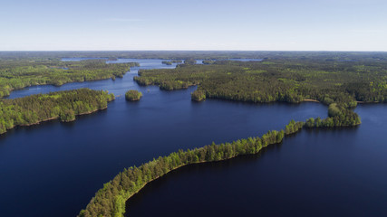 Aerial view of blue lakes and green forest in Finnish national park Liesjarvi at summer