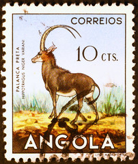 Antelope on angolan postage stamp