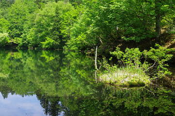 Fototapete bei efototapeten.de bestellen   