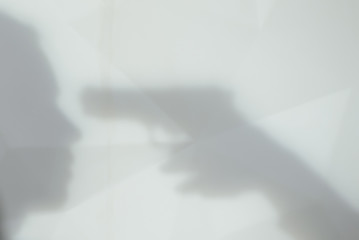 the shadow of the murder