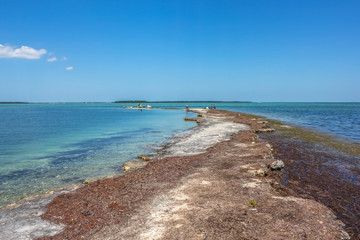 Fototapeta na wymiar The lagoon landscape of the little visited No Name Key, an island located in the lower Florida Keys in the United States, close to the best known Big Pine Key. No Name Key is famous for the Key Deer.