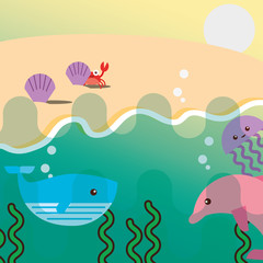 pink dolphin whale jellyfish and beach clam crab sea life vector illustration