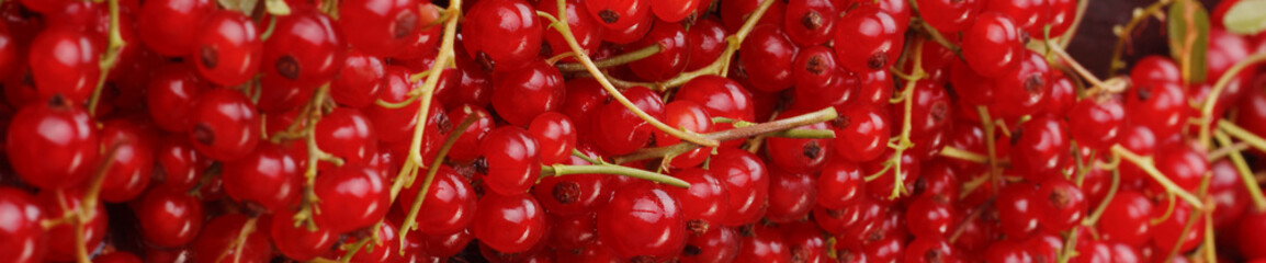 red currants background banner