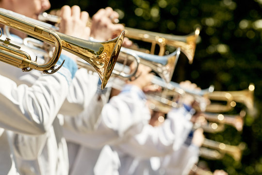 Classic Brass band plays the musical in garden.