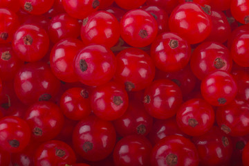 red currants background