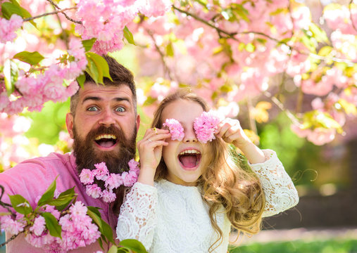 Child and man with tender pink flowers in beard. Father and daughter on happy face play with flowers as glasses, sakura background. Girl with dad near sakura flowers on spring day. Family time concept