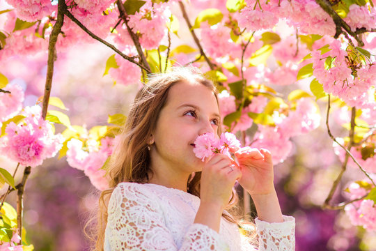 Cute child enjoy aroma of sakura on spring day. Girl on smiling face standing near sakura flowers, defocused. Sweet childhood concept. Girl with long hair outdoor, cherry blossom on background.