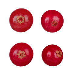 set of red currant berry isolated on white background