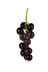 bunch of black  birdcherry isolated on white background