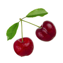 branch of red cherry with leaves isoalted