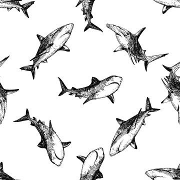 Seamless pattern of hand drawn sketch style sharks isolated on white background. Vector illustration.