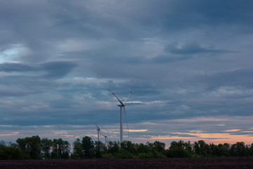 the wind farm in the evening