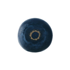 bilberry isolated on white background