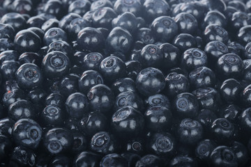 bilberries background