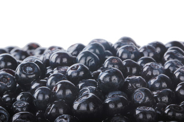 heap of bilberry isolated